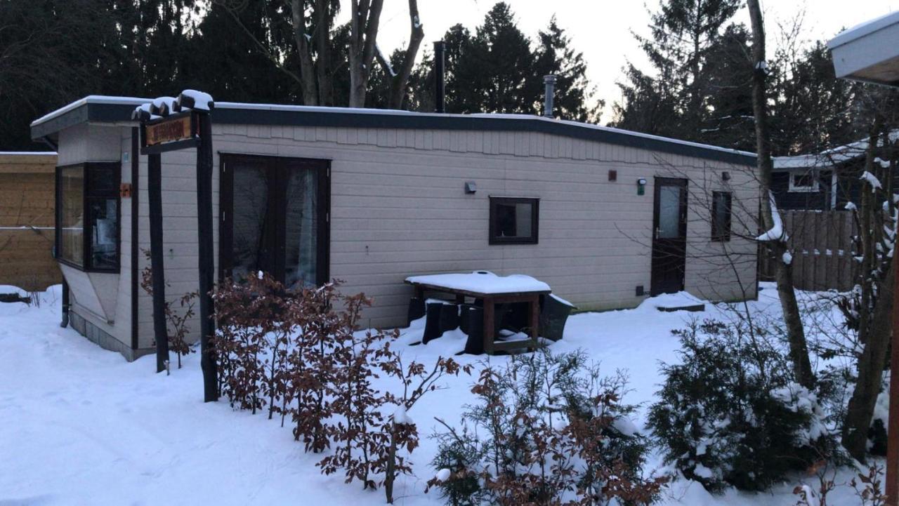 De Eekhoorn Villa Putten Eksteriør bilde