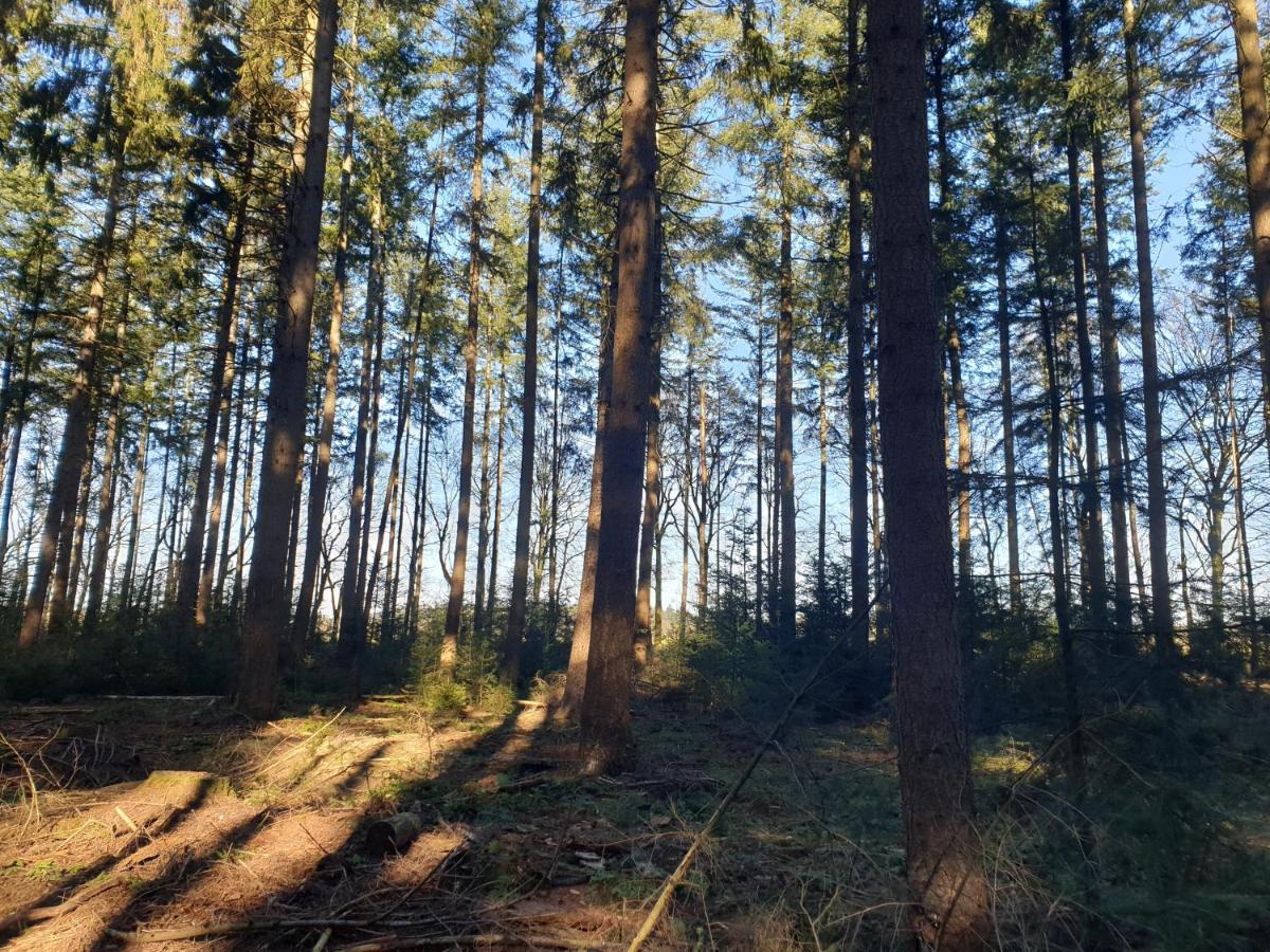De Eekhoorn Villa Putten Eksteriør bilde