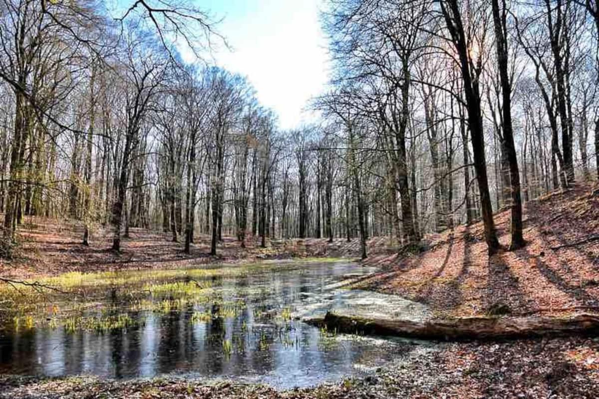 De Eekhoorn Villa Putten Eksteriør bilde
